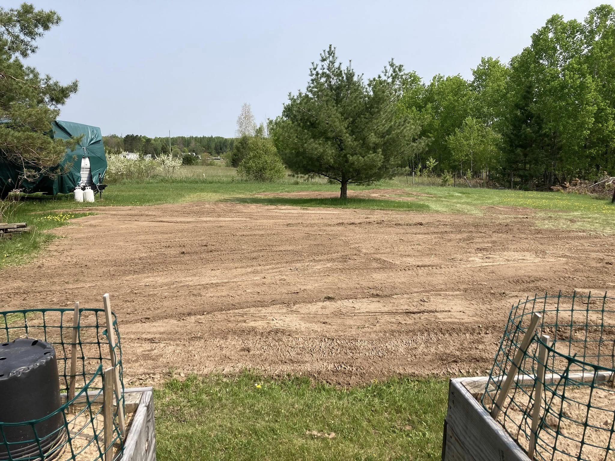 Lawn and property: after