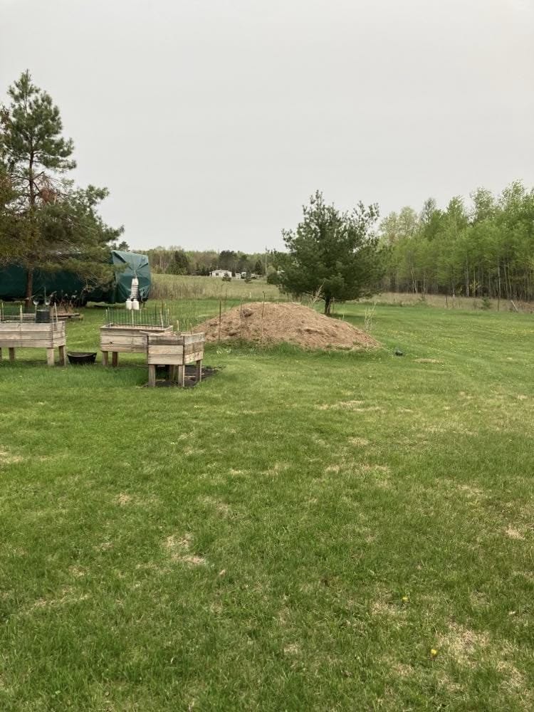 Lawn and property: before