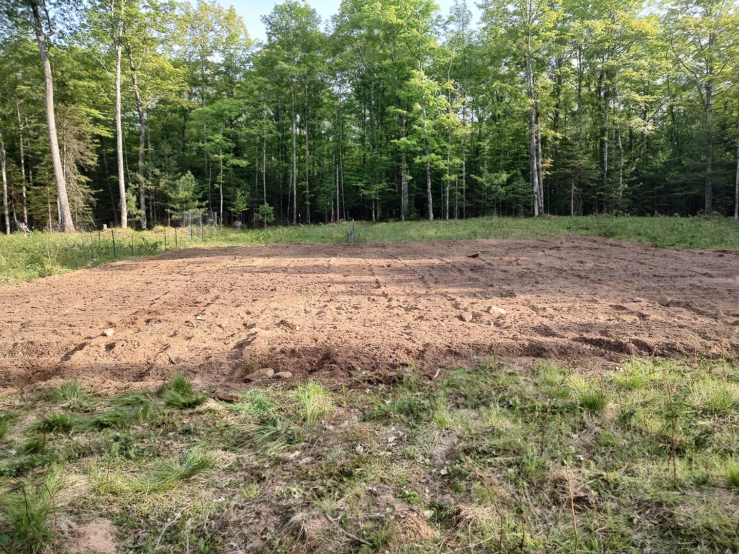 Lawn or bed area before work